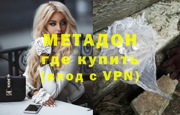 прущие грибы Алзамай