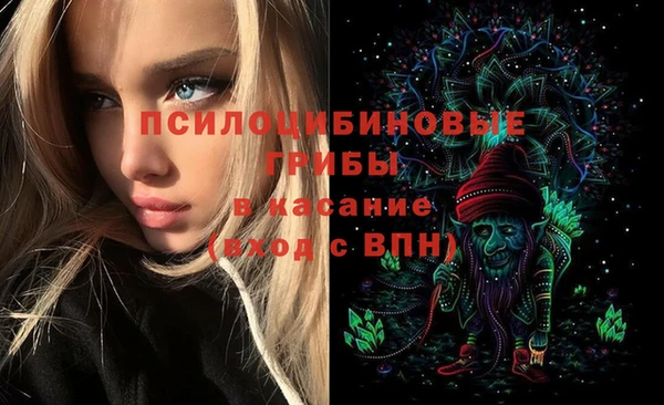прущие грибы Алзамай