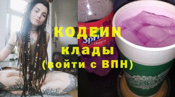прущие грибы Алзамай